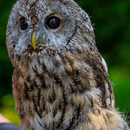 Maison d'hôtes Aqua Vital 3*