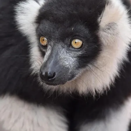 Maison d'hôtes Aqua Vital